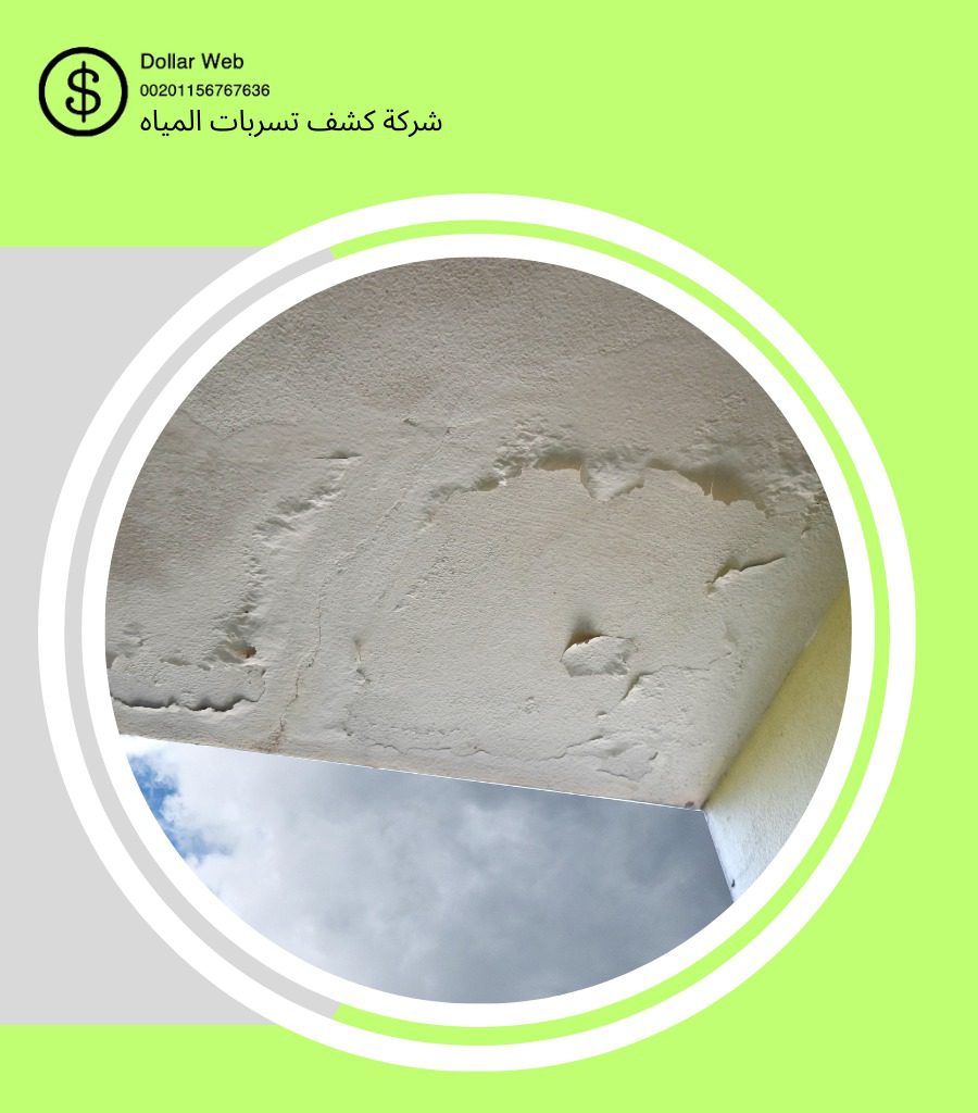 كشف تسربات الغدير بالرياض