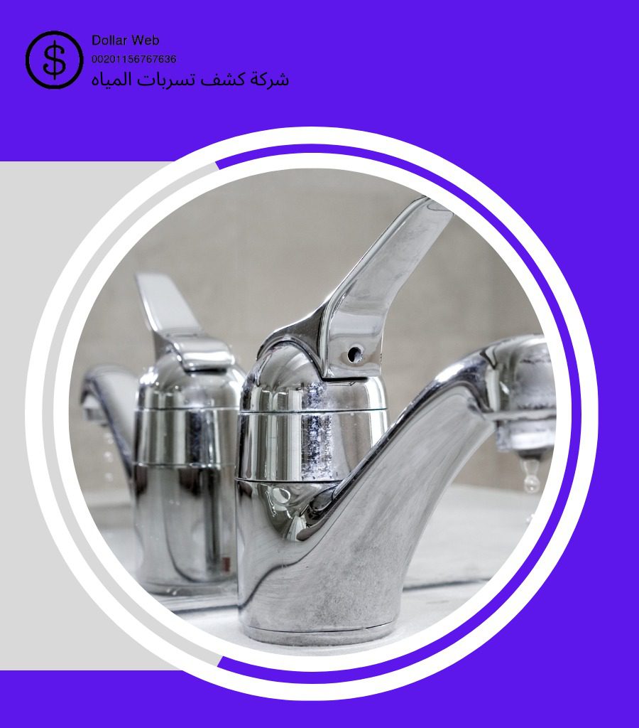 شركة كشف تسربات الغاز