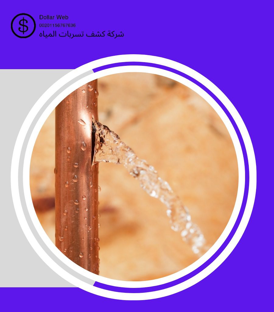 كشف تسربات حي العريجاء