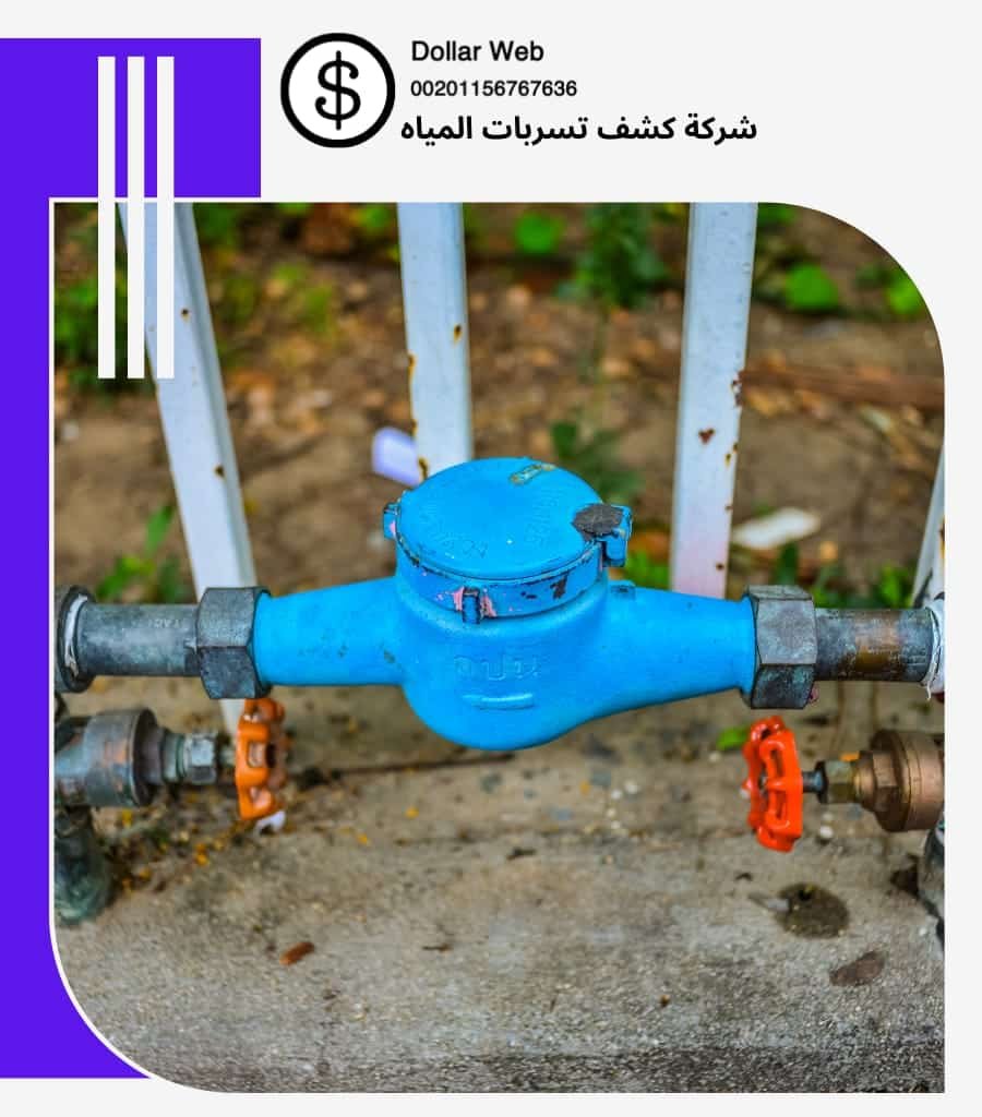 كشف تسربات السليل بالرياض