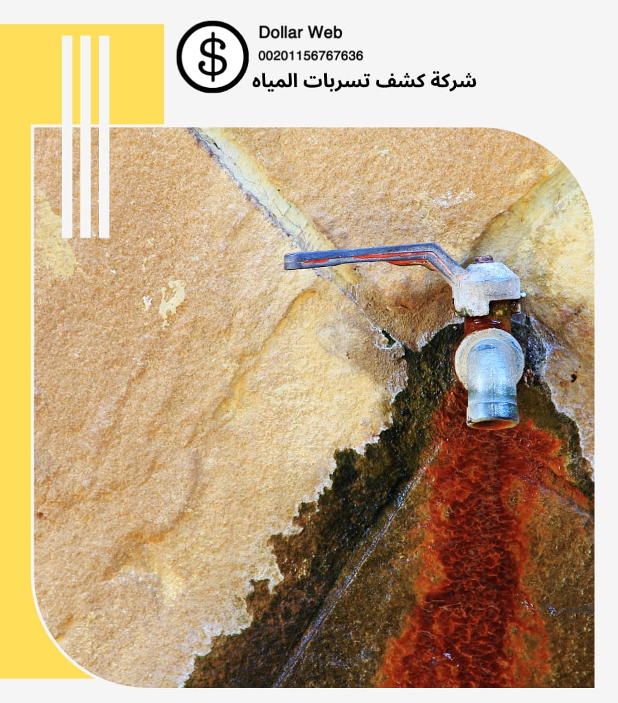 فني كشف تسربات بالرياض