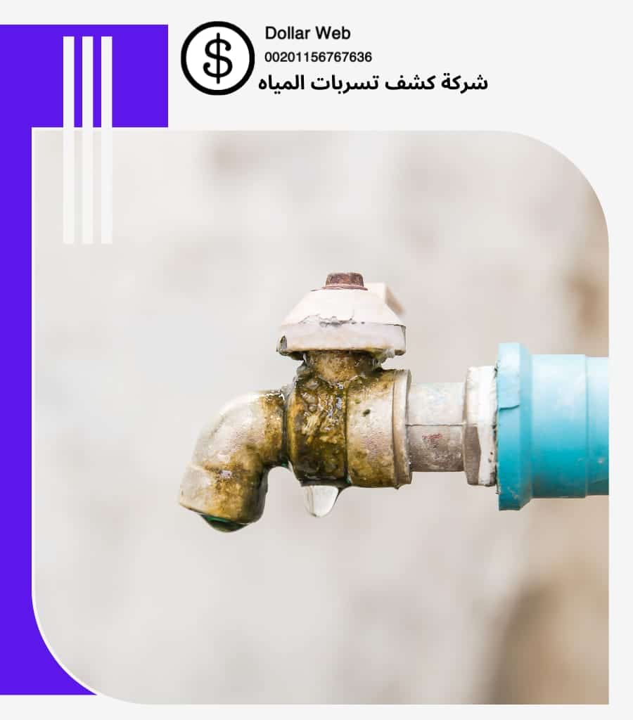 فنى كشف تسربات بالرياض