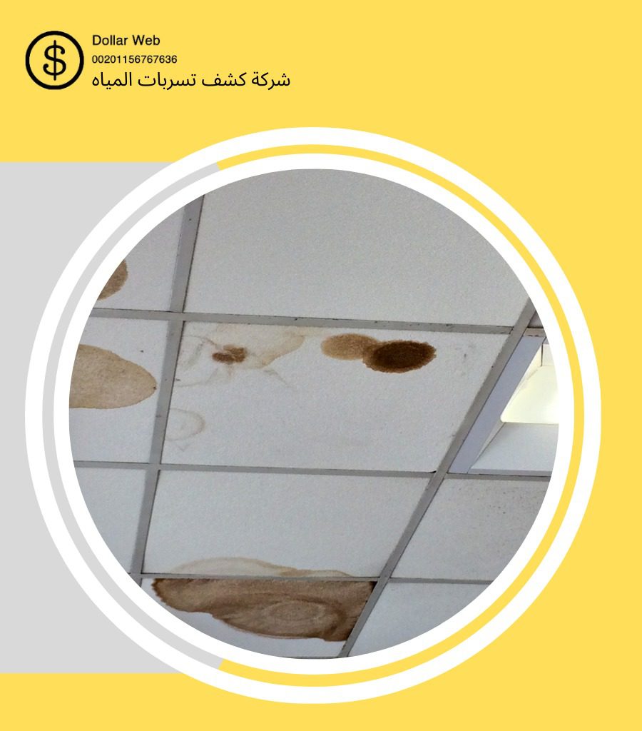كشف تسربات حي المنصورة بالرياض