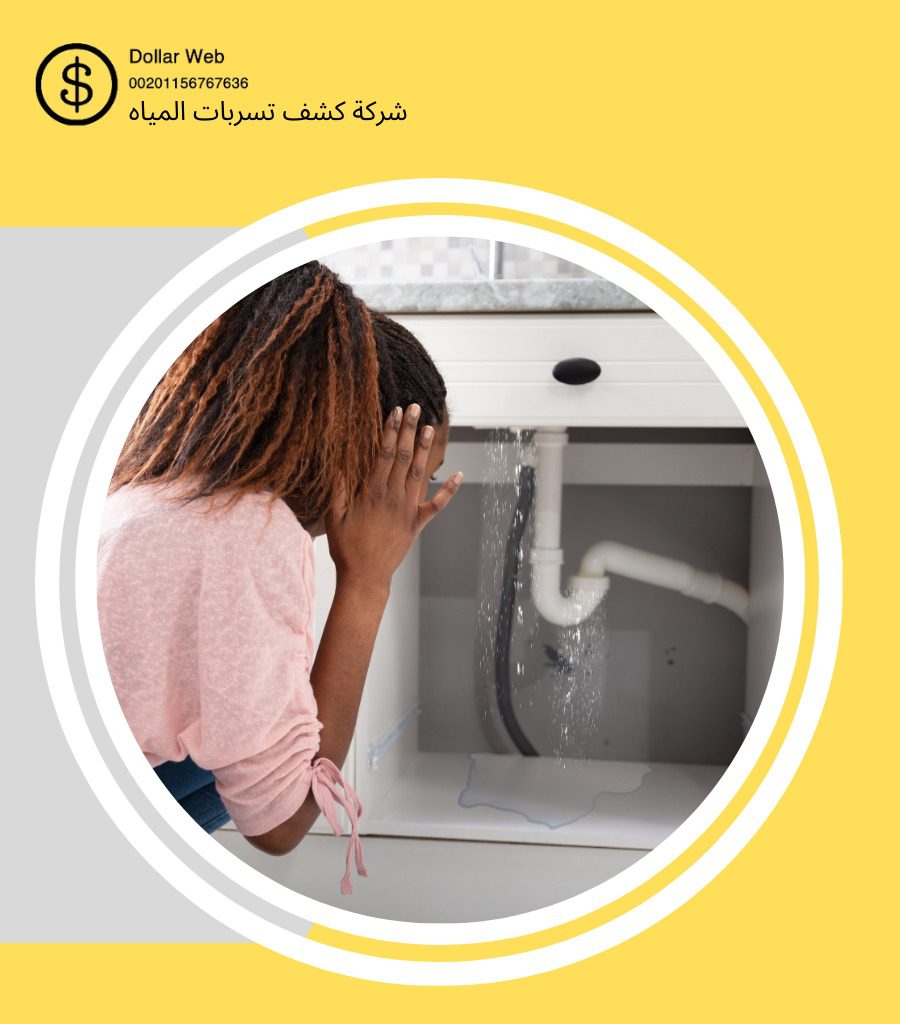 كشف تسربات حي الشفاء بالرياض
