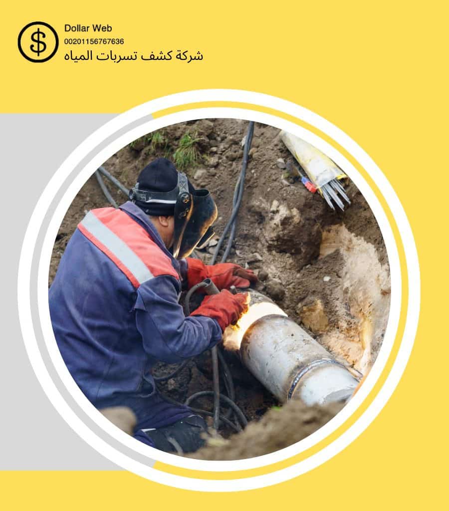 كشف تسربات حي الرائد بالرياض