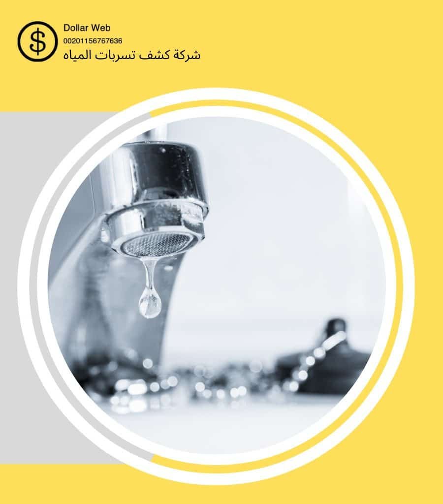 كشف تسربات حي الربيع بالرياض