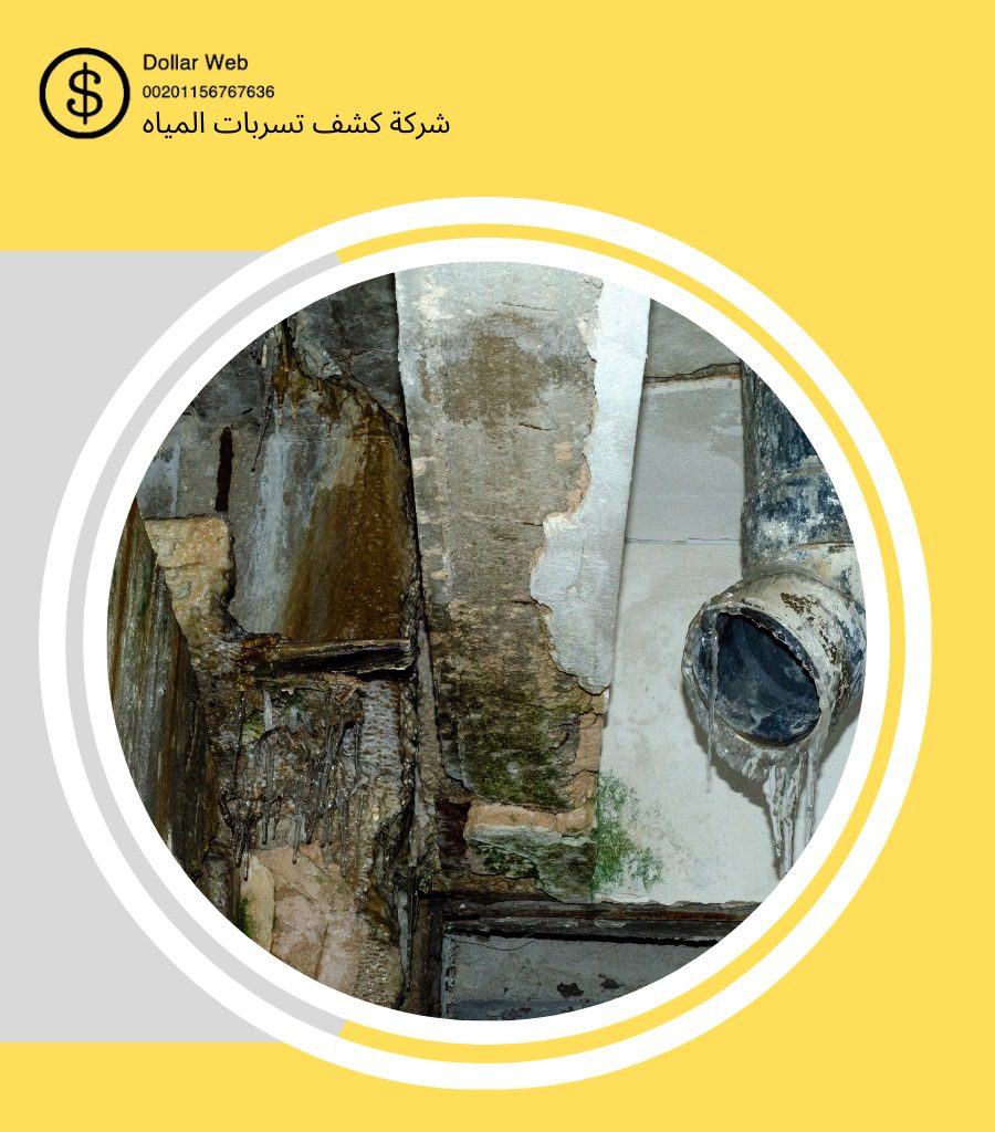 كشف تسربات حي الورود بالرياض