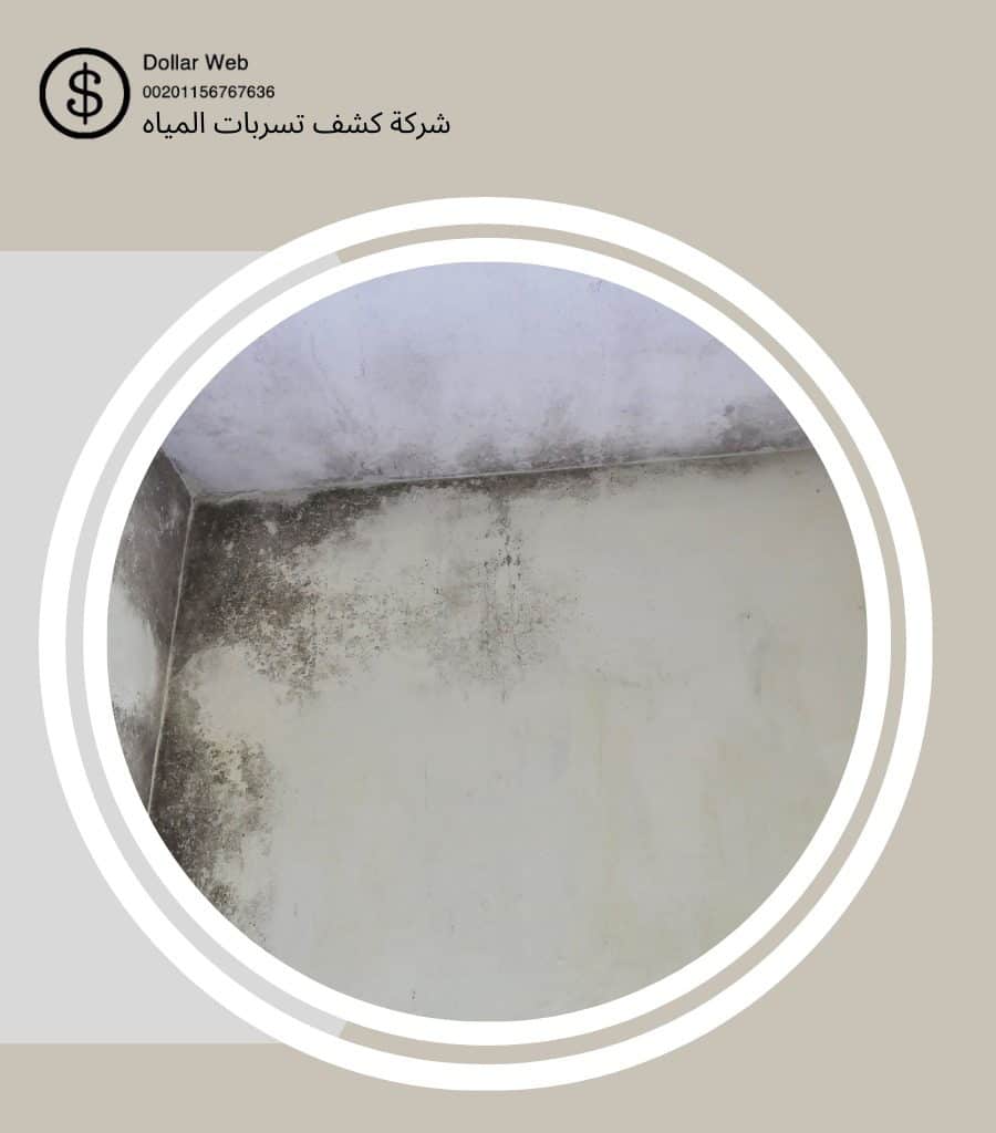 كشف تسربات حي النخيل بالرياض