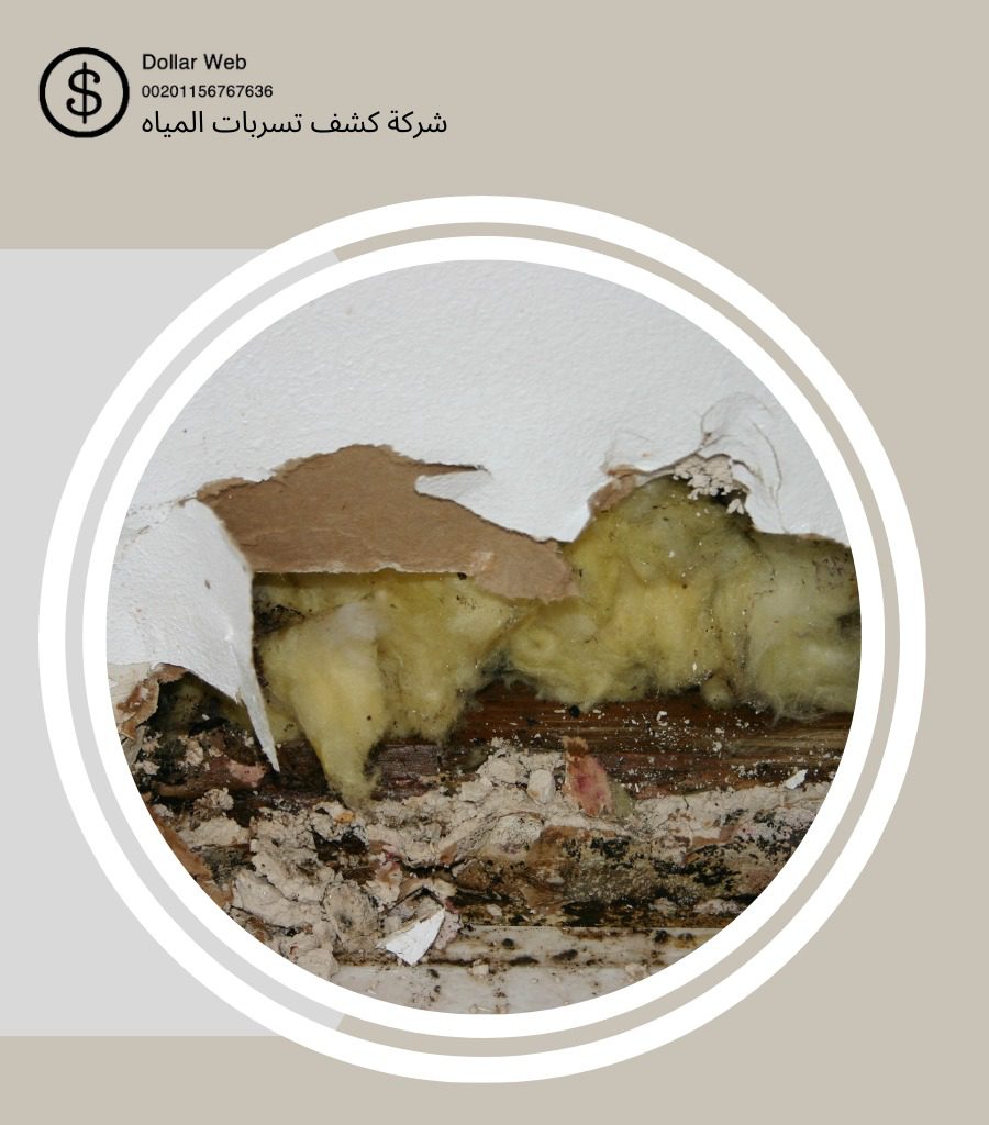 كشف تسربات حي الصحافة بالرياض