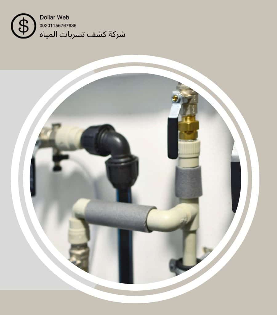 كشف تسربات حي شبرا بالرياض